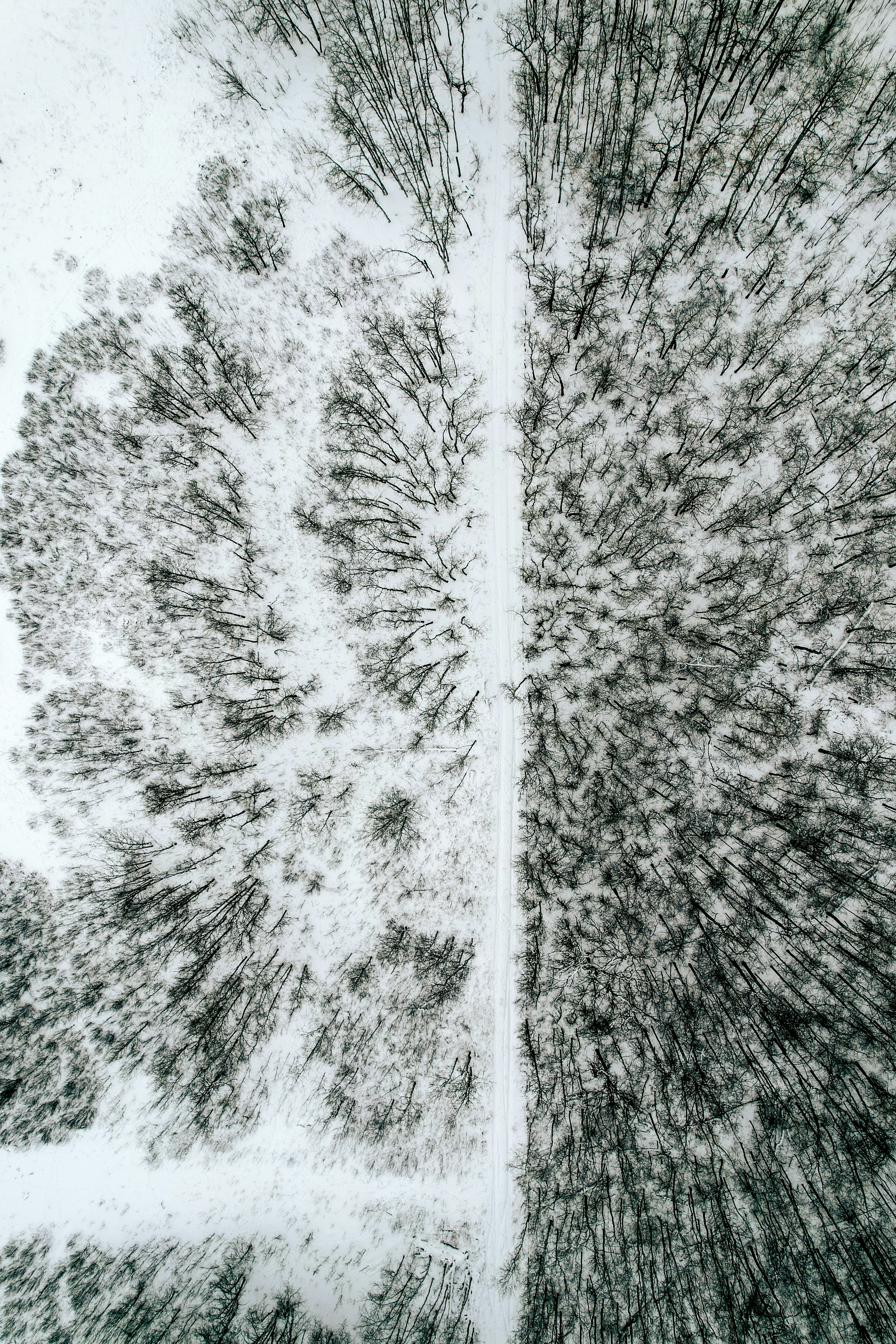 Photo by dronarephotography