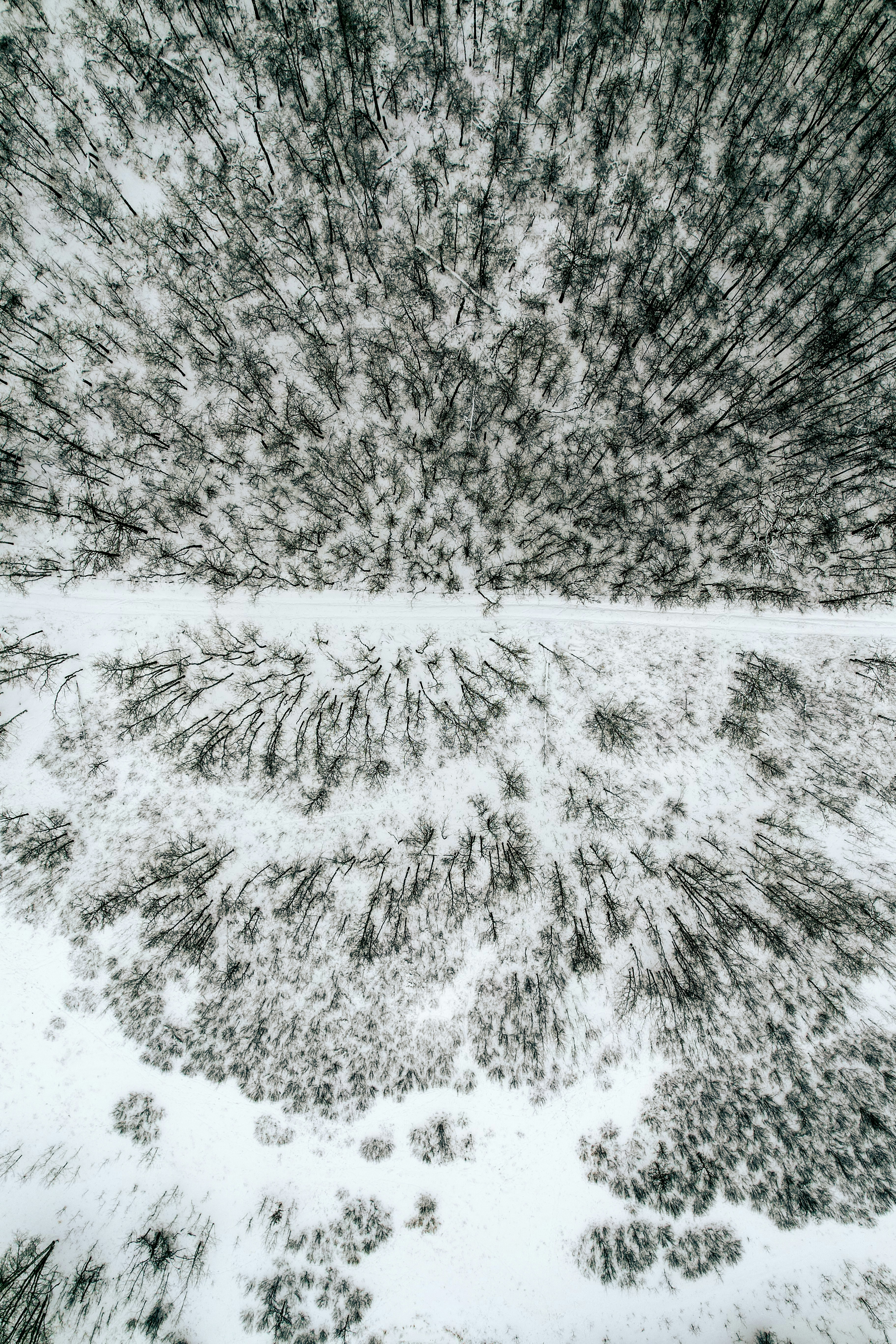 Photo by dronarephotography