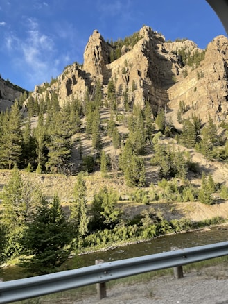 A rocky mountain landscape with steep cliffs and dense clusters of green pine trees. The sky is clear and blue, and a small stream runs along the base of the mountains next to a road with a metal guardrail.