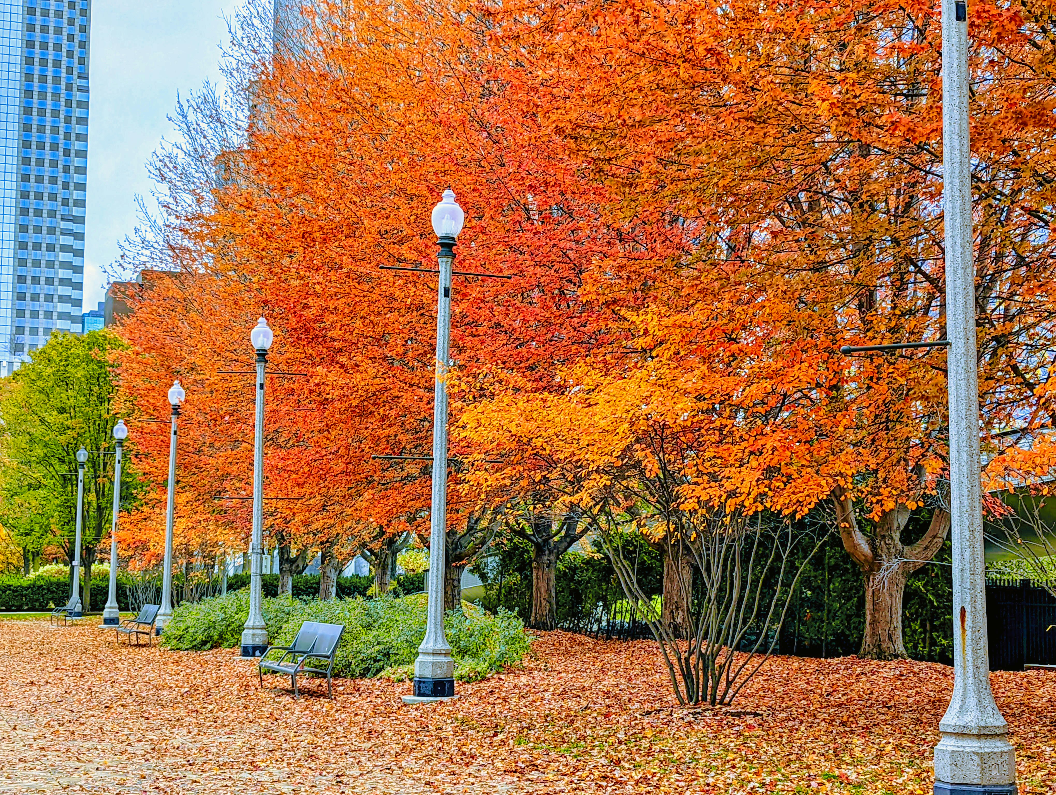 Millenium Park