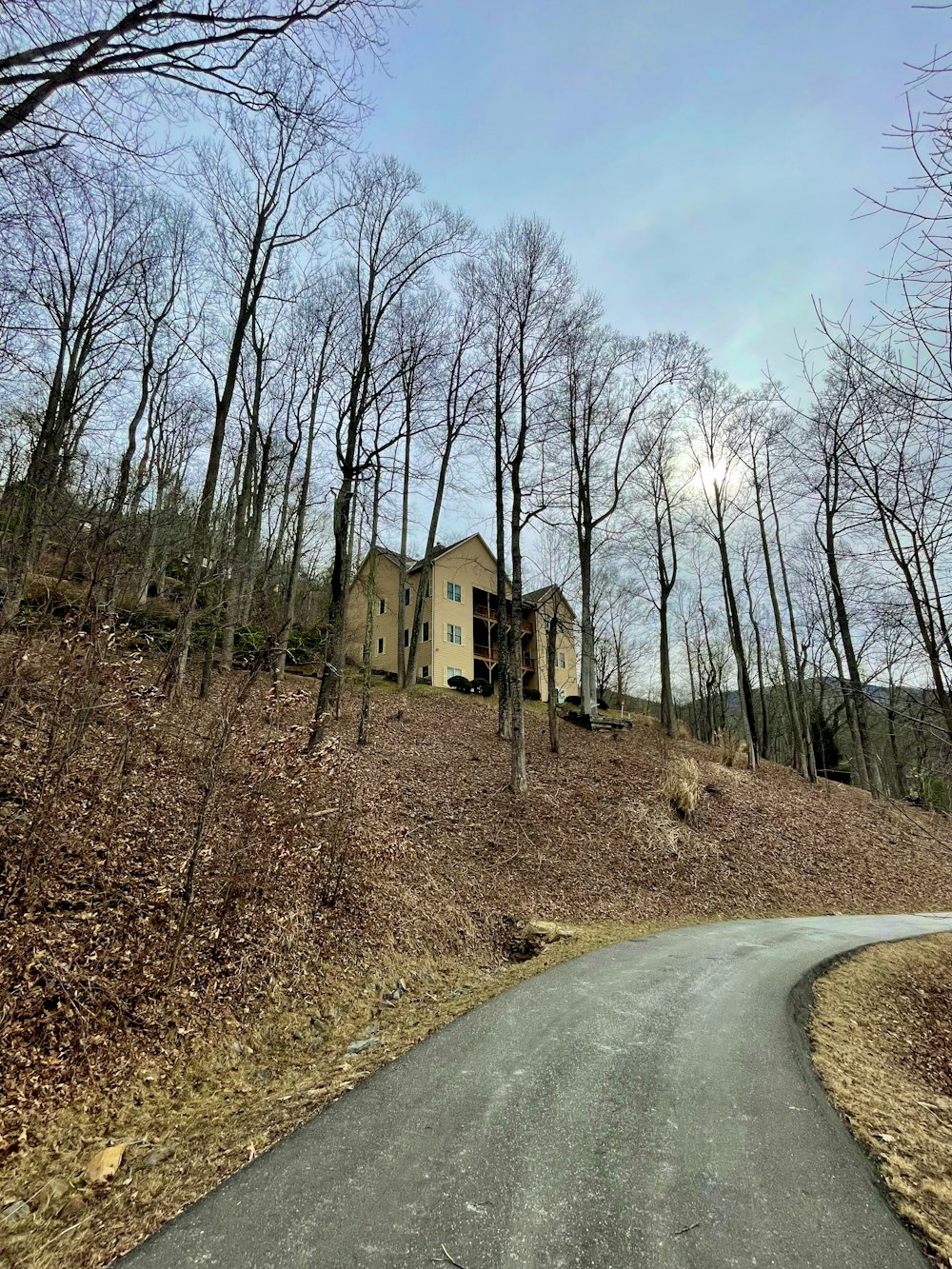 Una casa en una colina rodeada de árboles