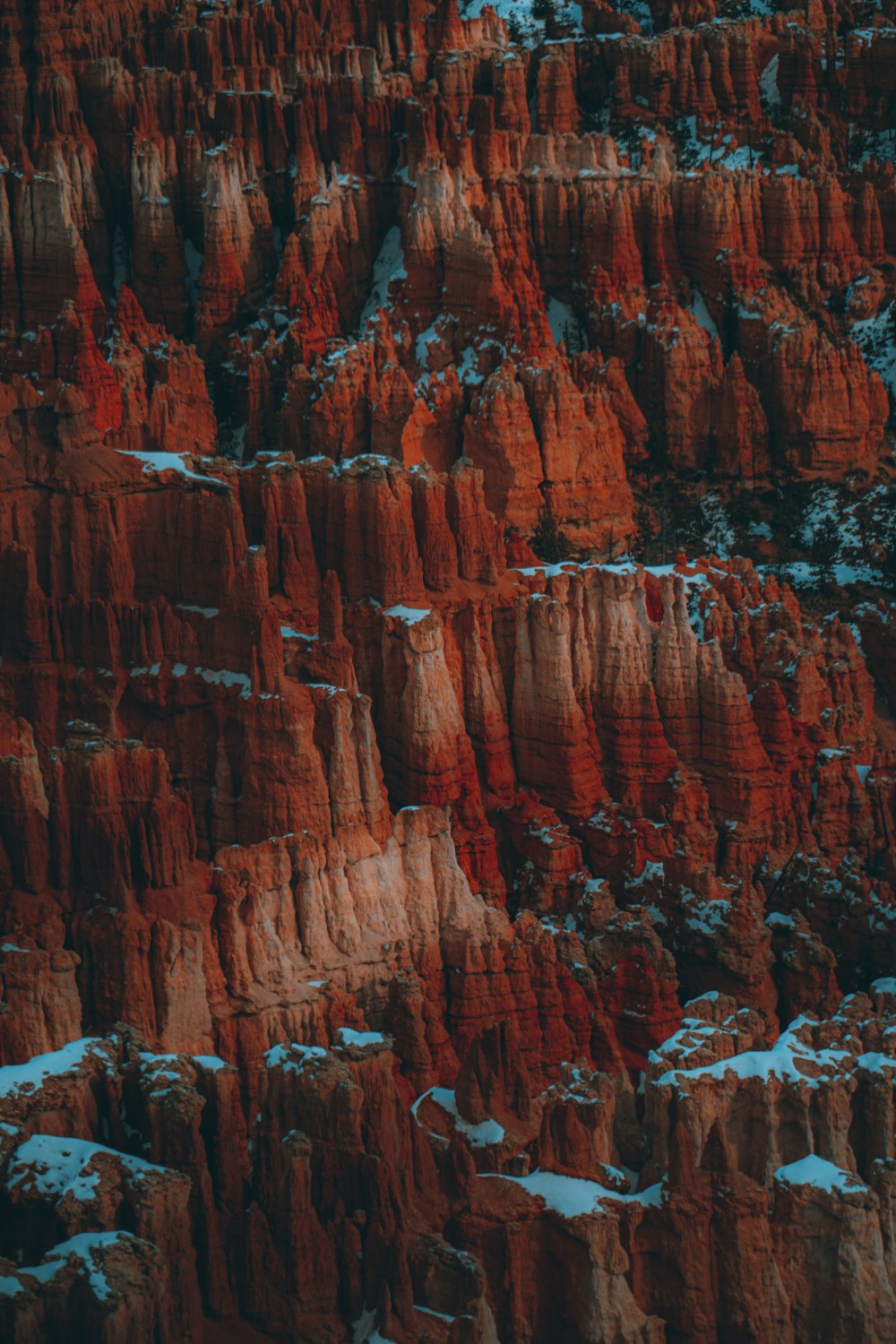 a large group of red rocks in the snow