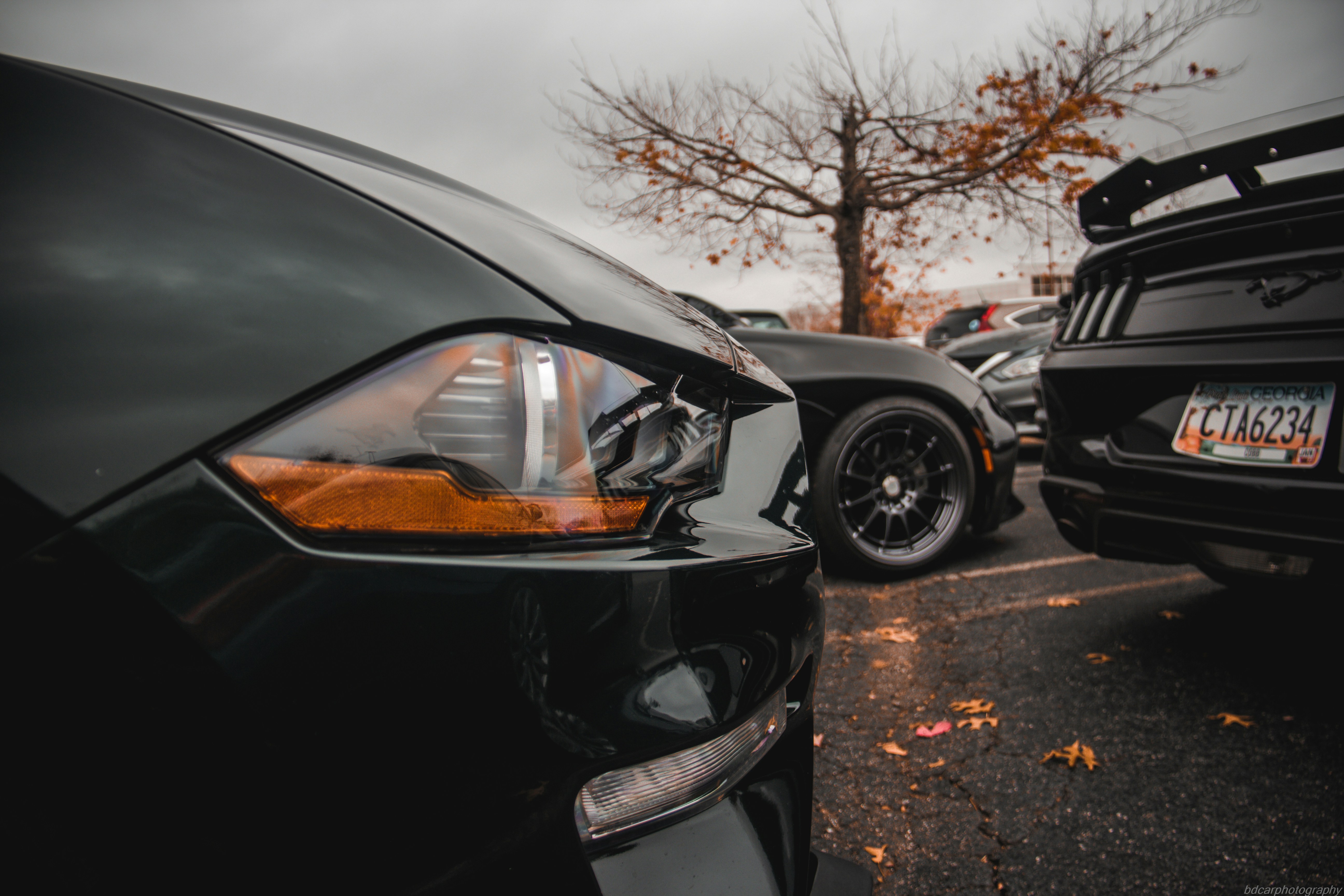 Photo by bdphotography