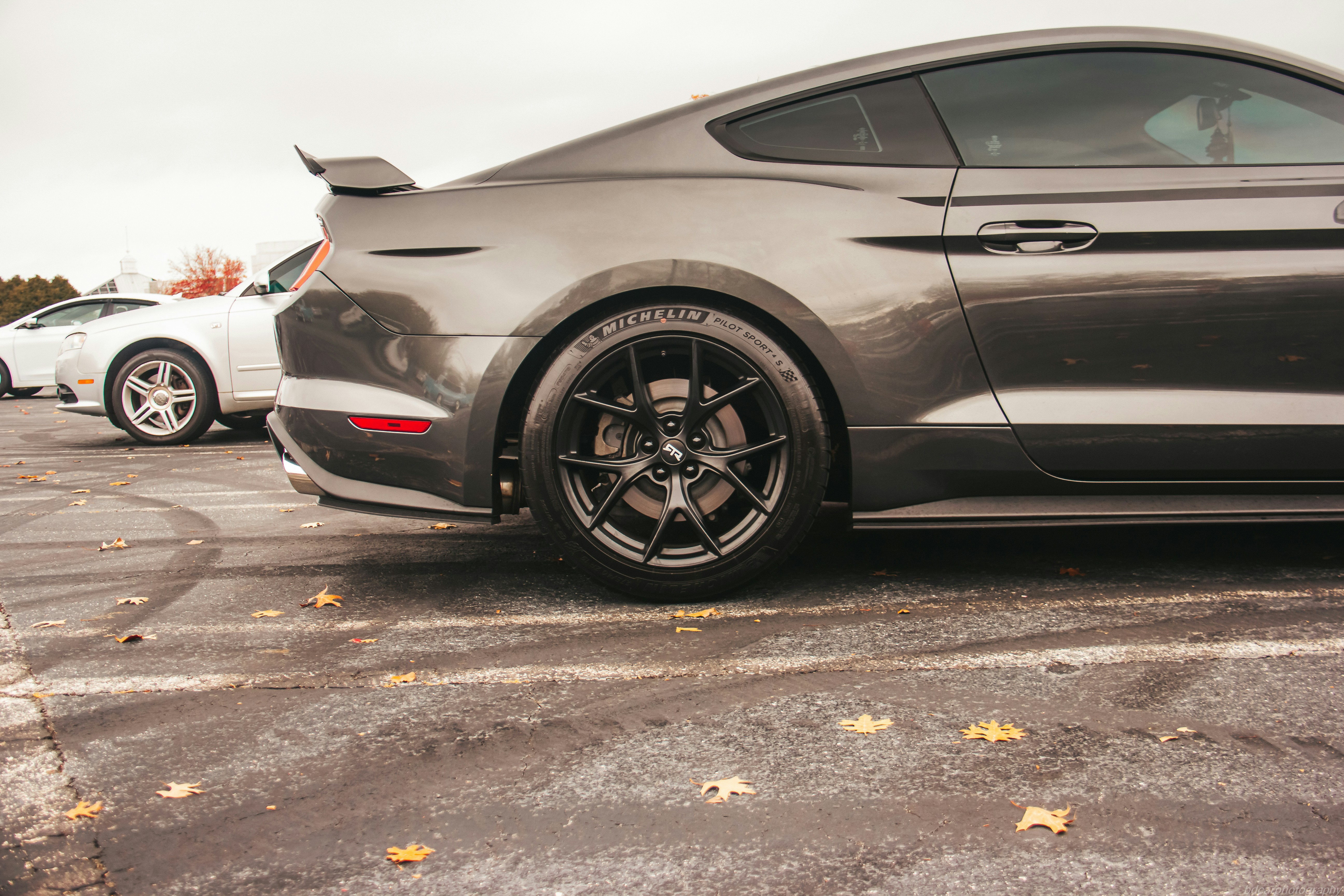 Photo by bdphotography