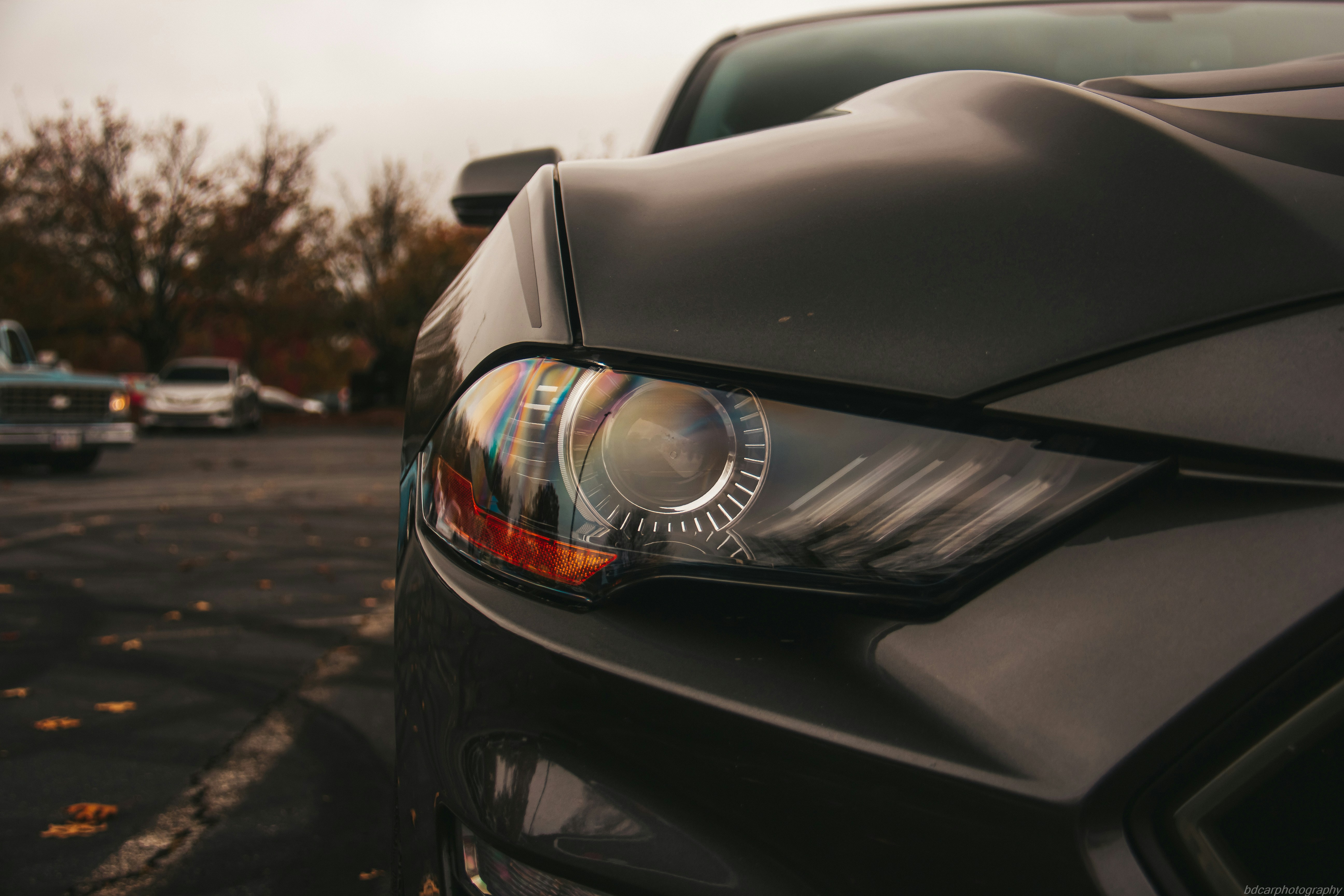 Photo by bdphotography