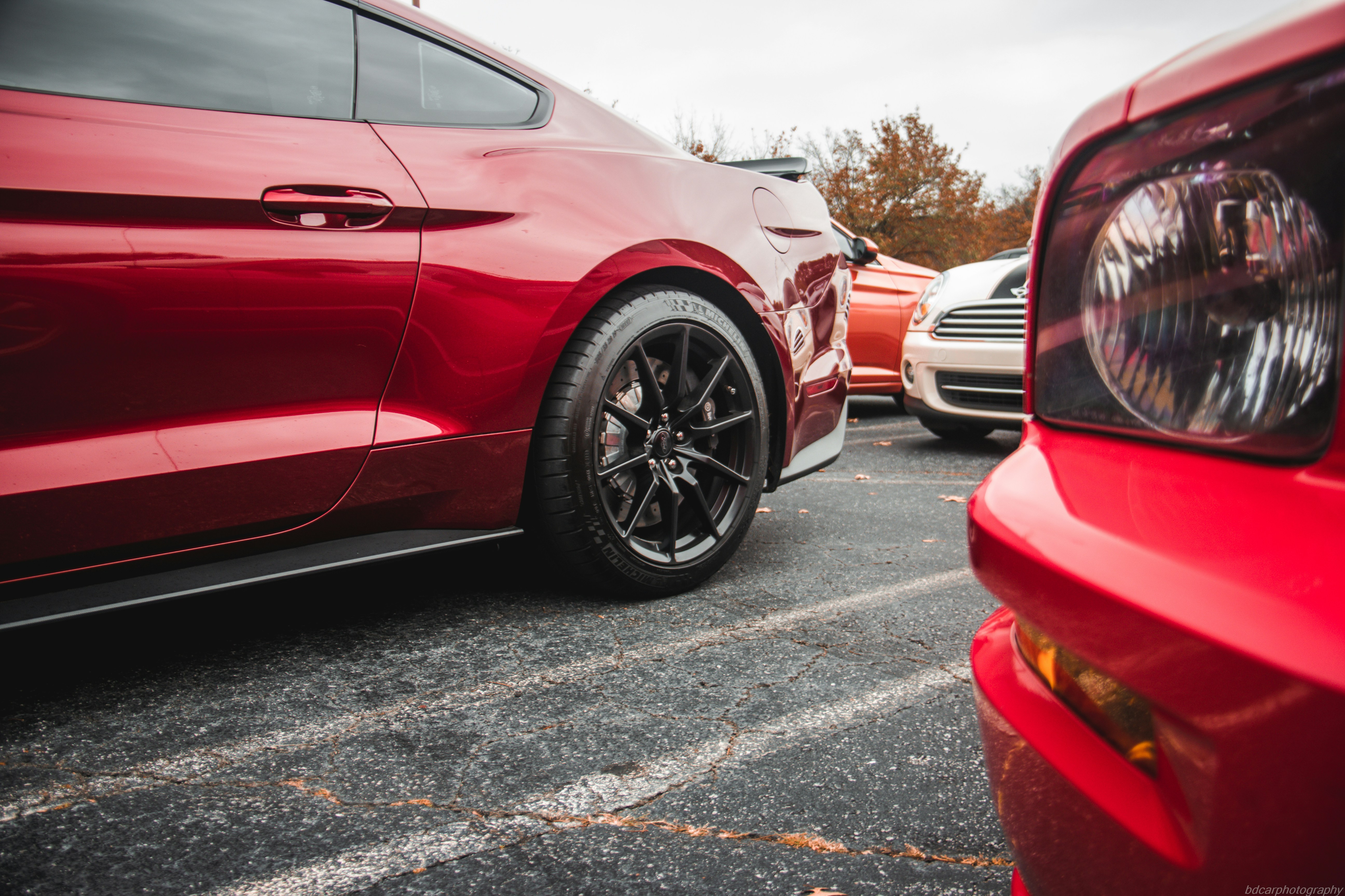 Photo by bdphotography