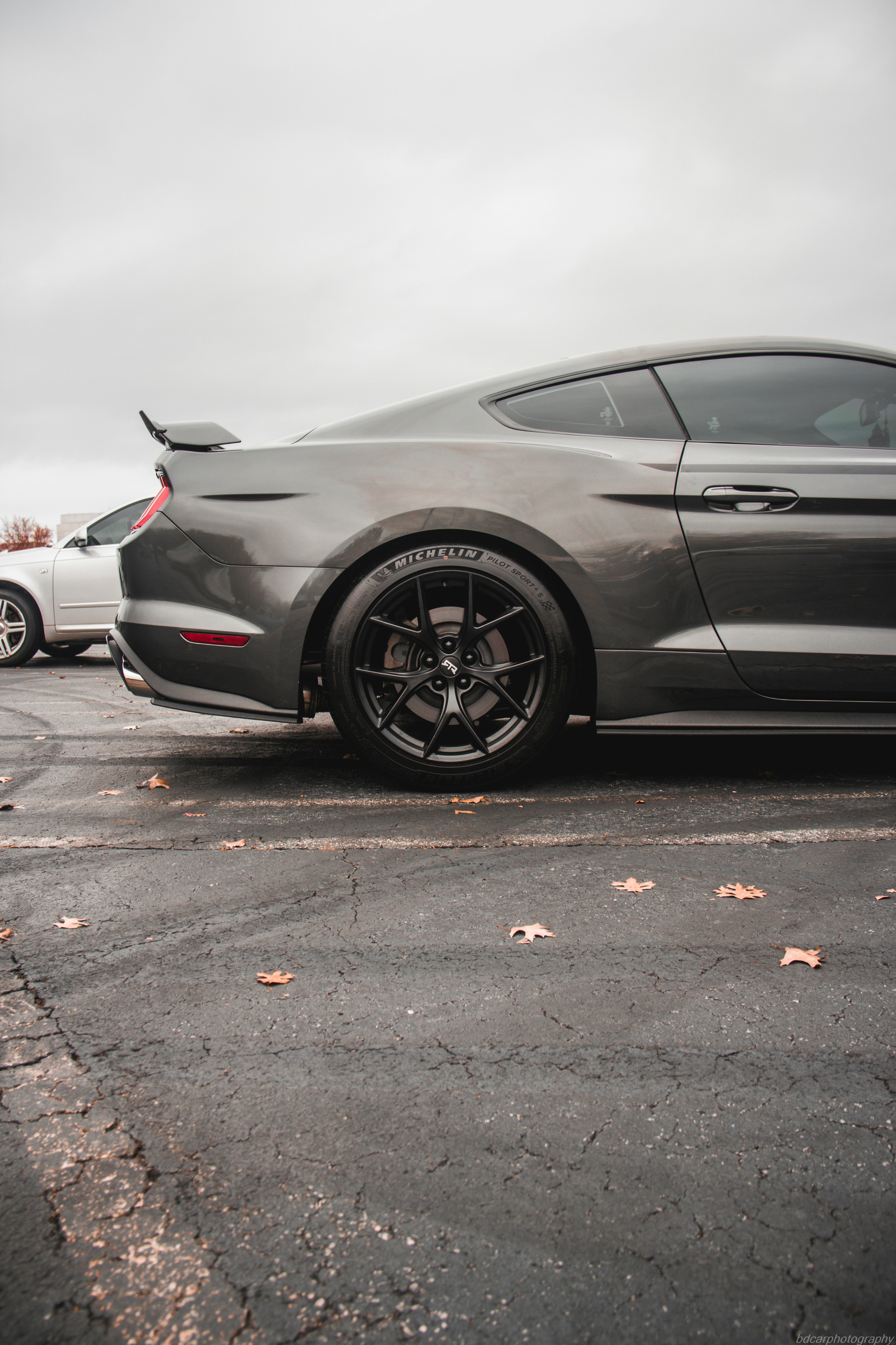 Photo by bdphotography