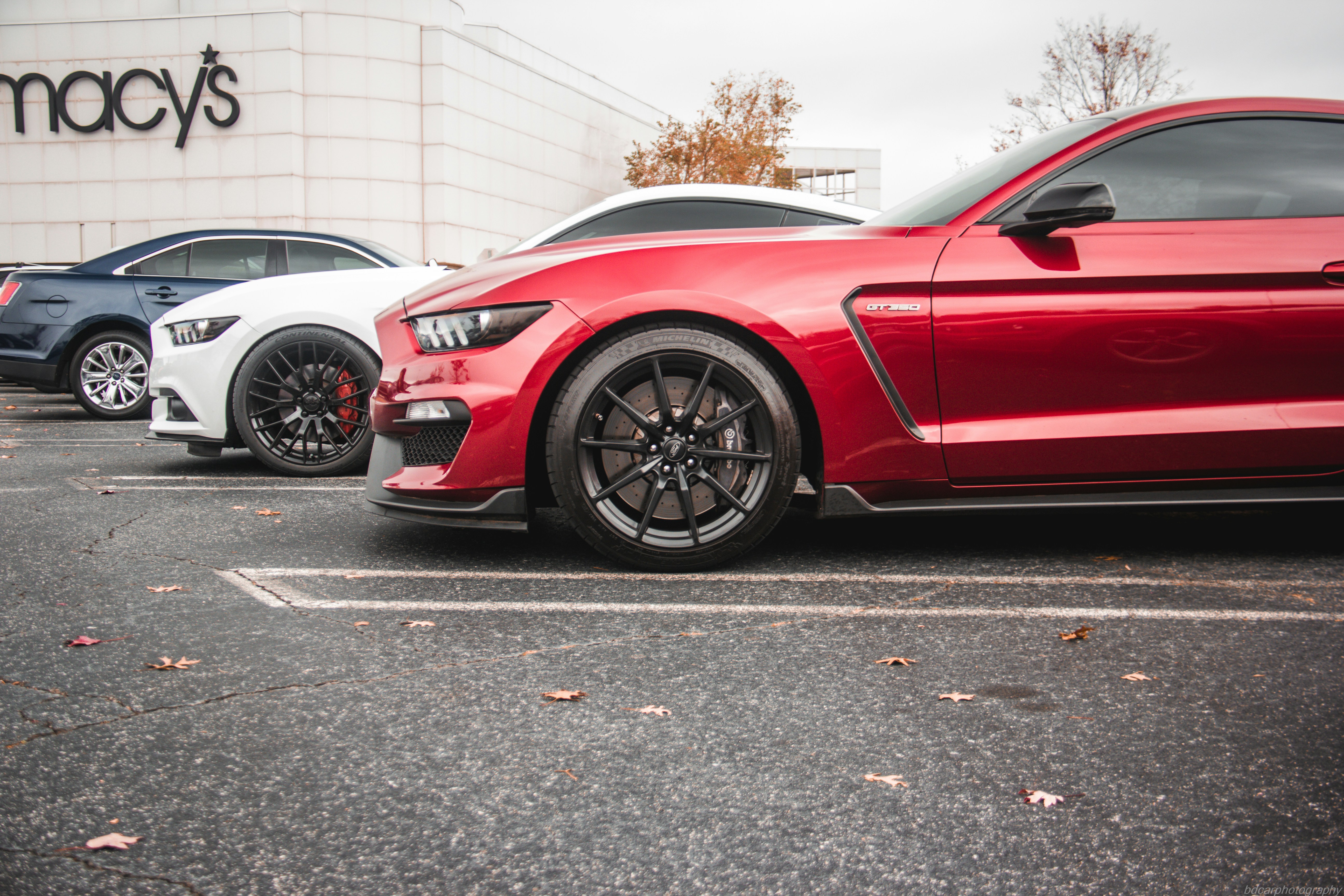 Photo by bdphotography