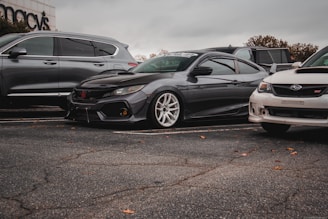 Several cars are parked in a lot, including a modified black car with white wheels, a silver SUV, and a white car with a hood scoop. The ground is paved and scattered with a few small leaves, while the sky above is overcast.