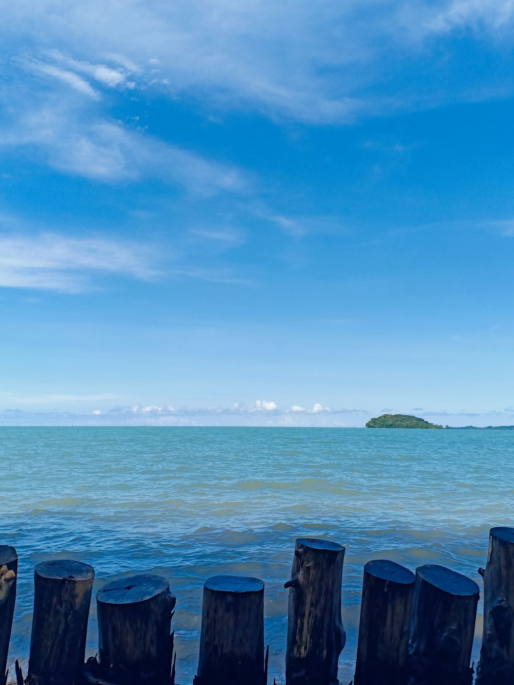 a row of wooden posts sitting on top of a beach