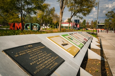 Map showing recent citizen reports and incidents across Tlalpan.