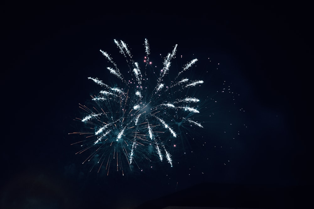 a large fireworks is lit up in the night sky