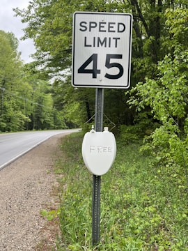 A speed limit sign indicating 45 mph stands by a rural road with lush green foliage. Attached to the signpost is a white toilet seat with the word 'FREE' written on it.