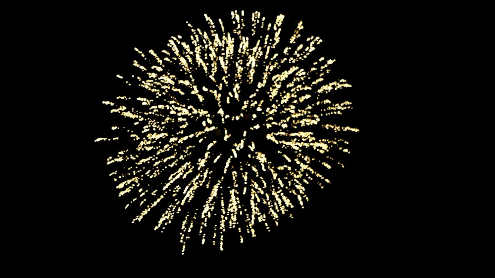 a fireworks is lit up in the dark sky