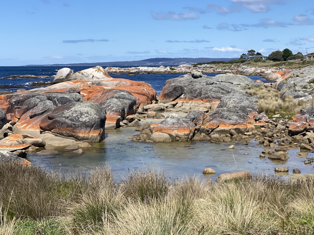 a body of water surrounded by rocks and grass