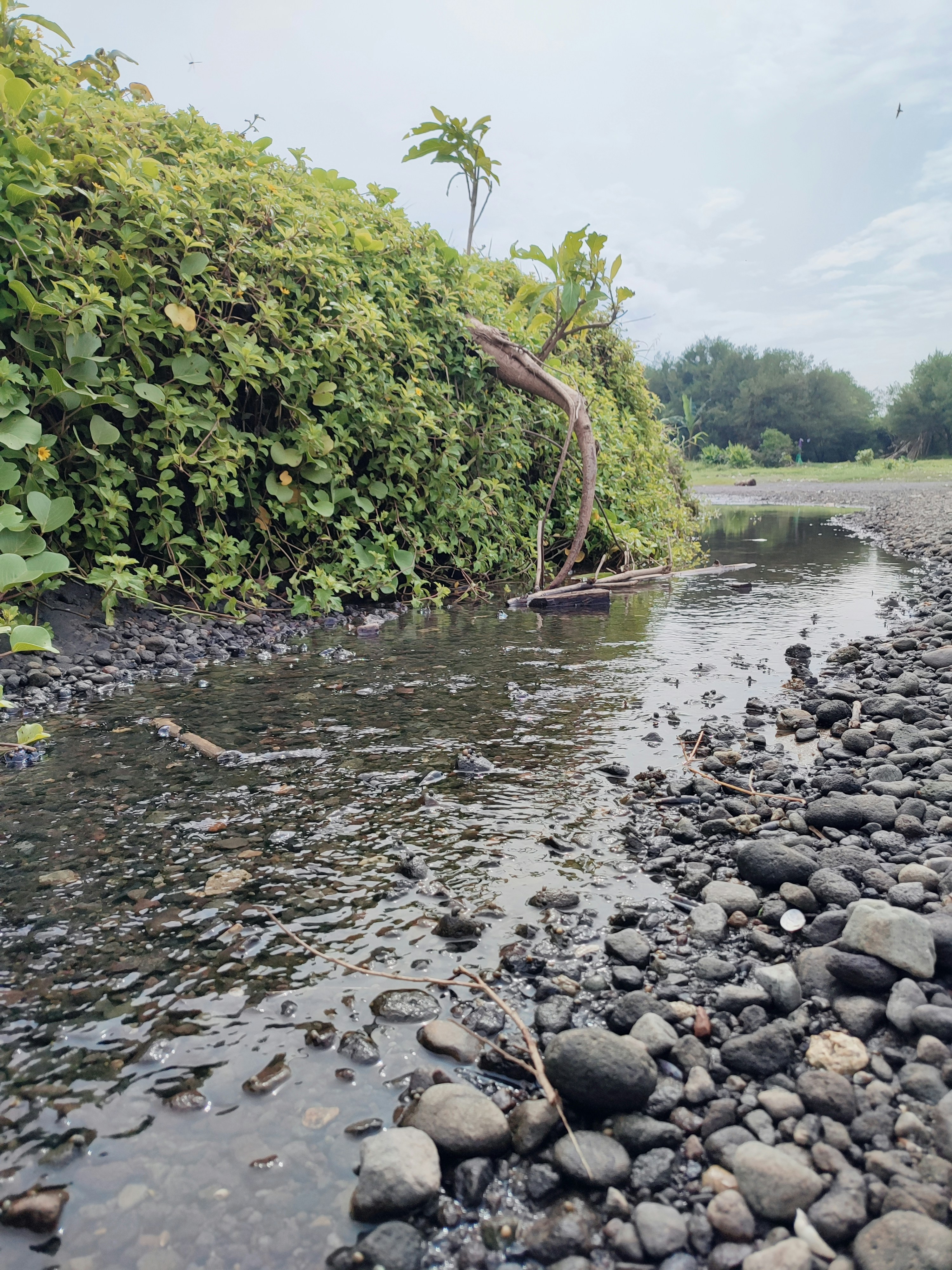 Photo by rizkydwisaputro