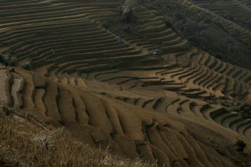 Mù Cang Chải, Yên Bái, Vietnam