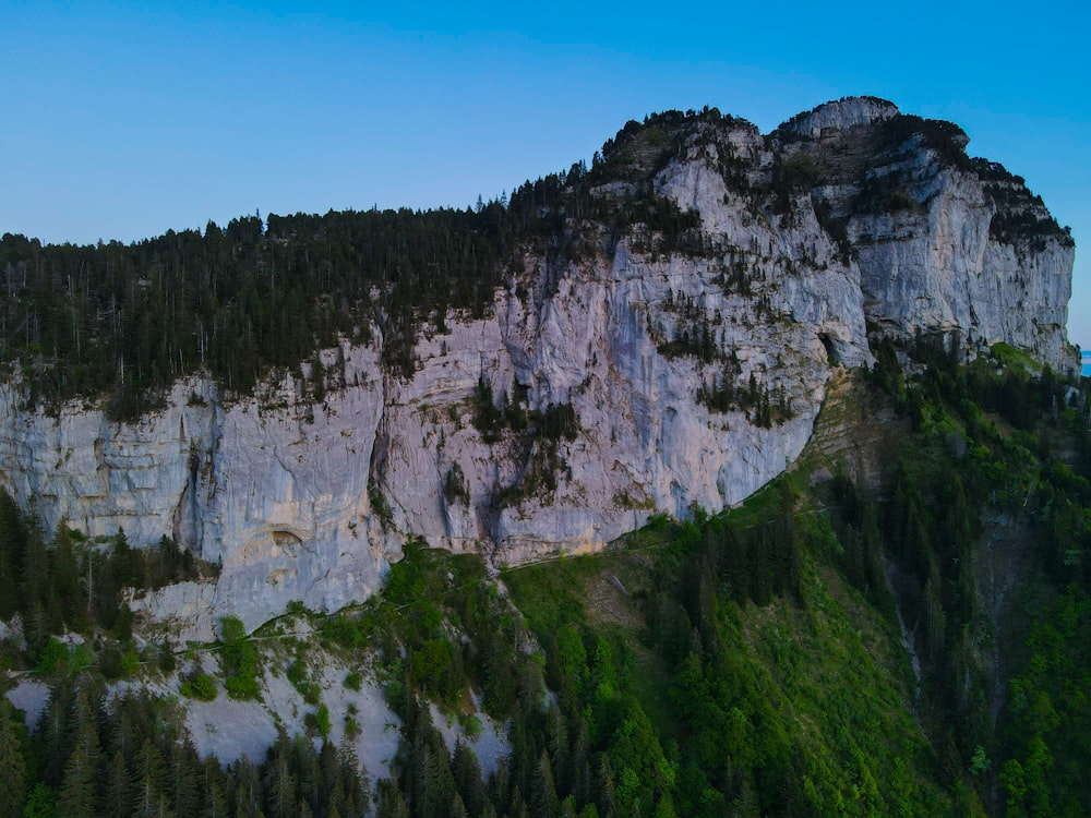 a very tall mountain with some trees on top of it