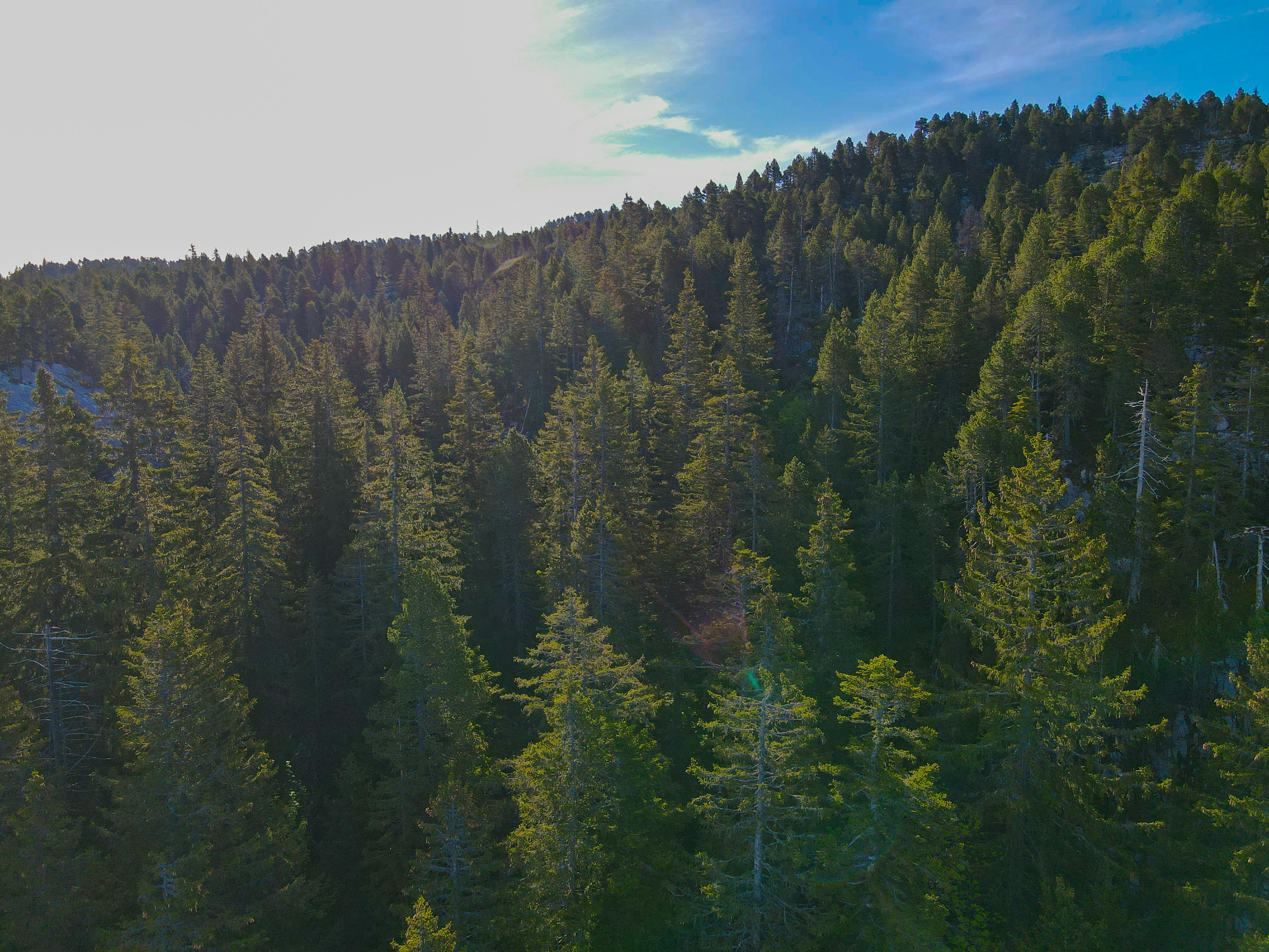 Photo by florian_delee