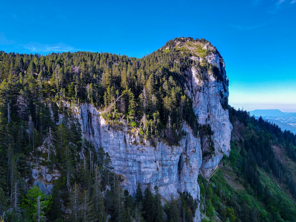 a view of a mountain with trees on the side of it