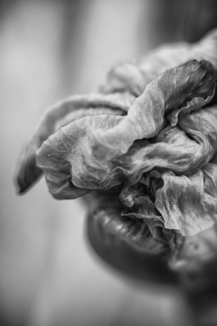 Close-up of textured fabric folds in monochrome, emphasizing form and light play.