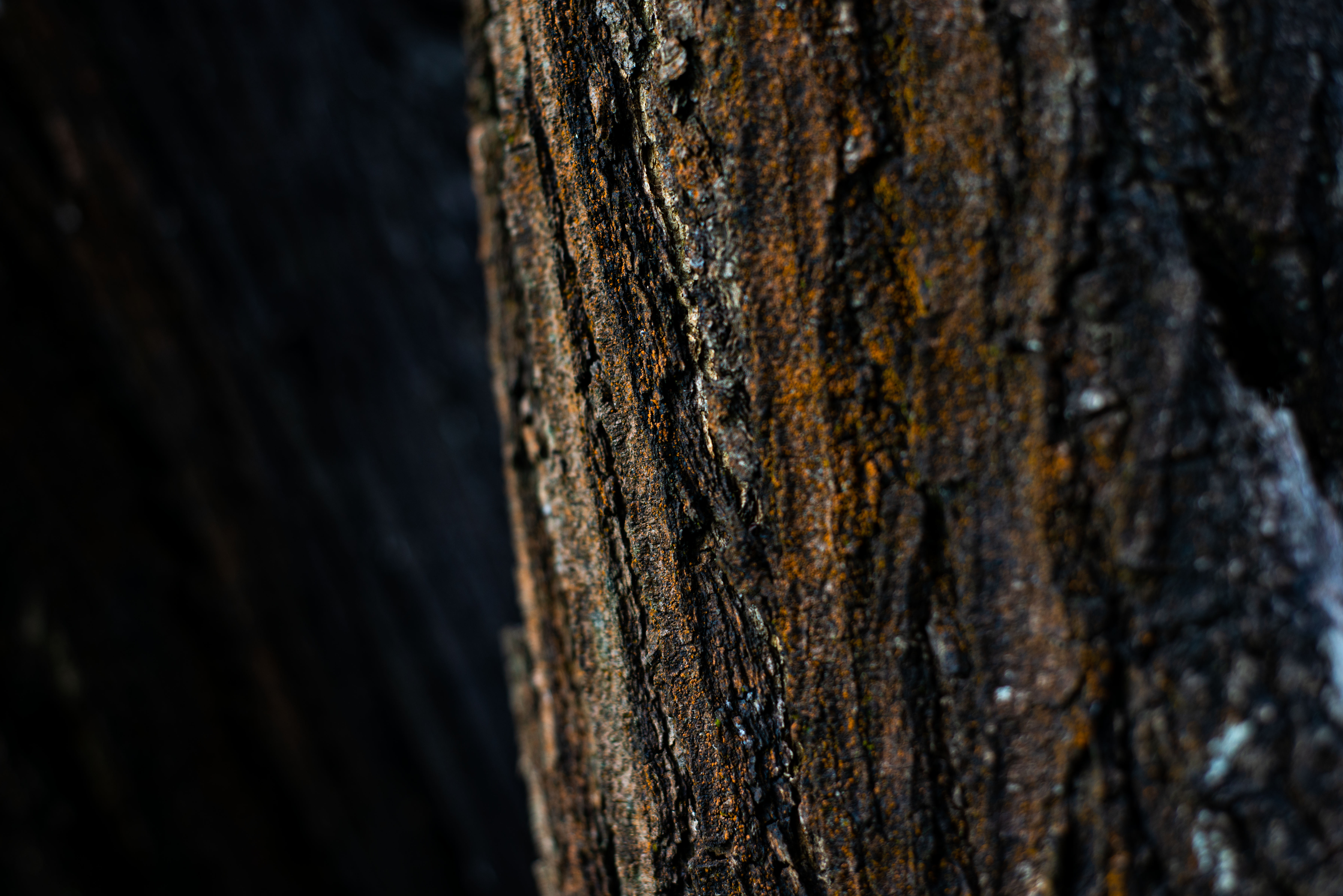 Photo by smithclukas