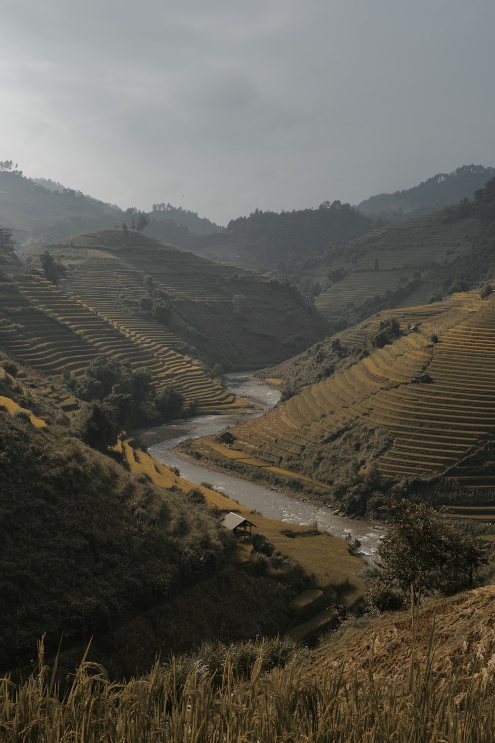 a river running through a lush green valley