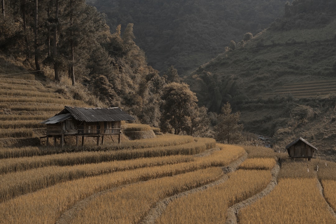 a couple of houses sitting on top of a lush green hillside,