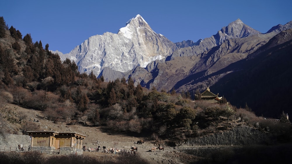 a group of people standing on top of a mountain