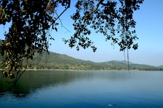a large body of water surrounded by trees