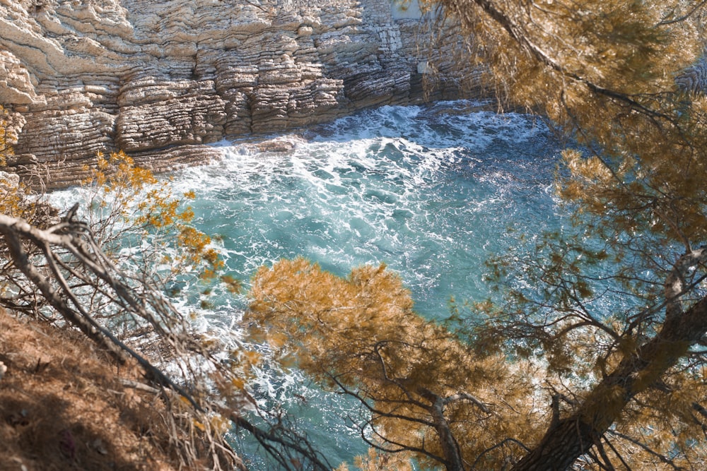 a view of a body of water surrounded by trees