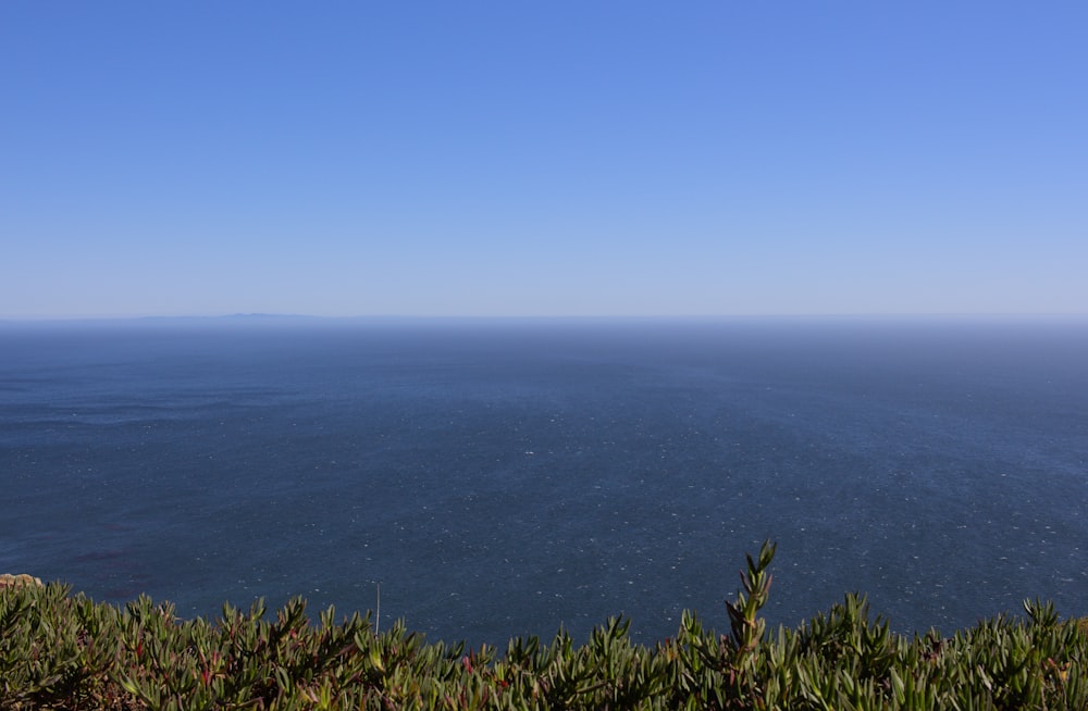 a view of the ocean from the top of a hill