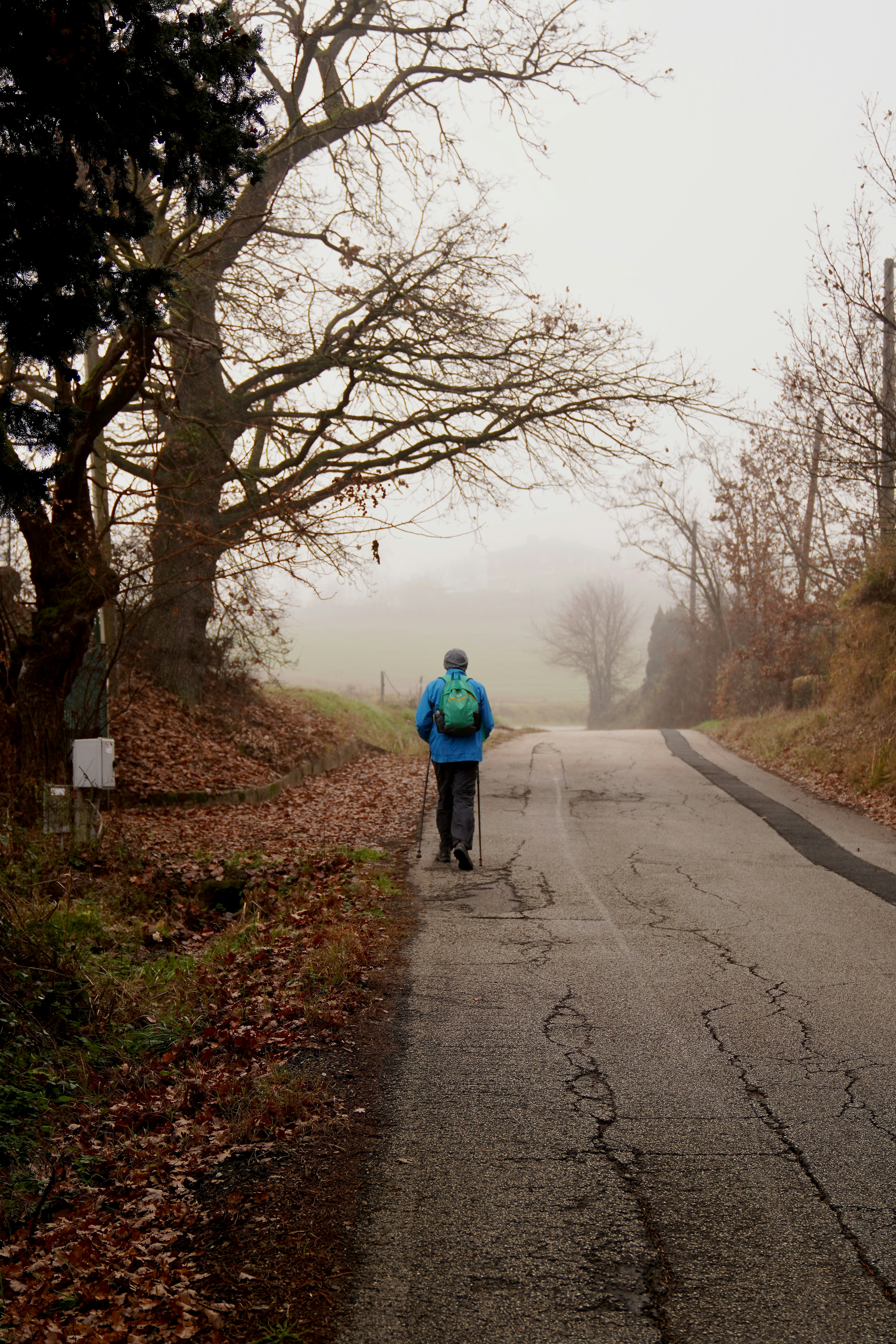 a person riding a bike down a road