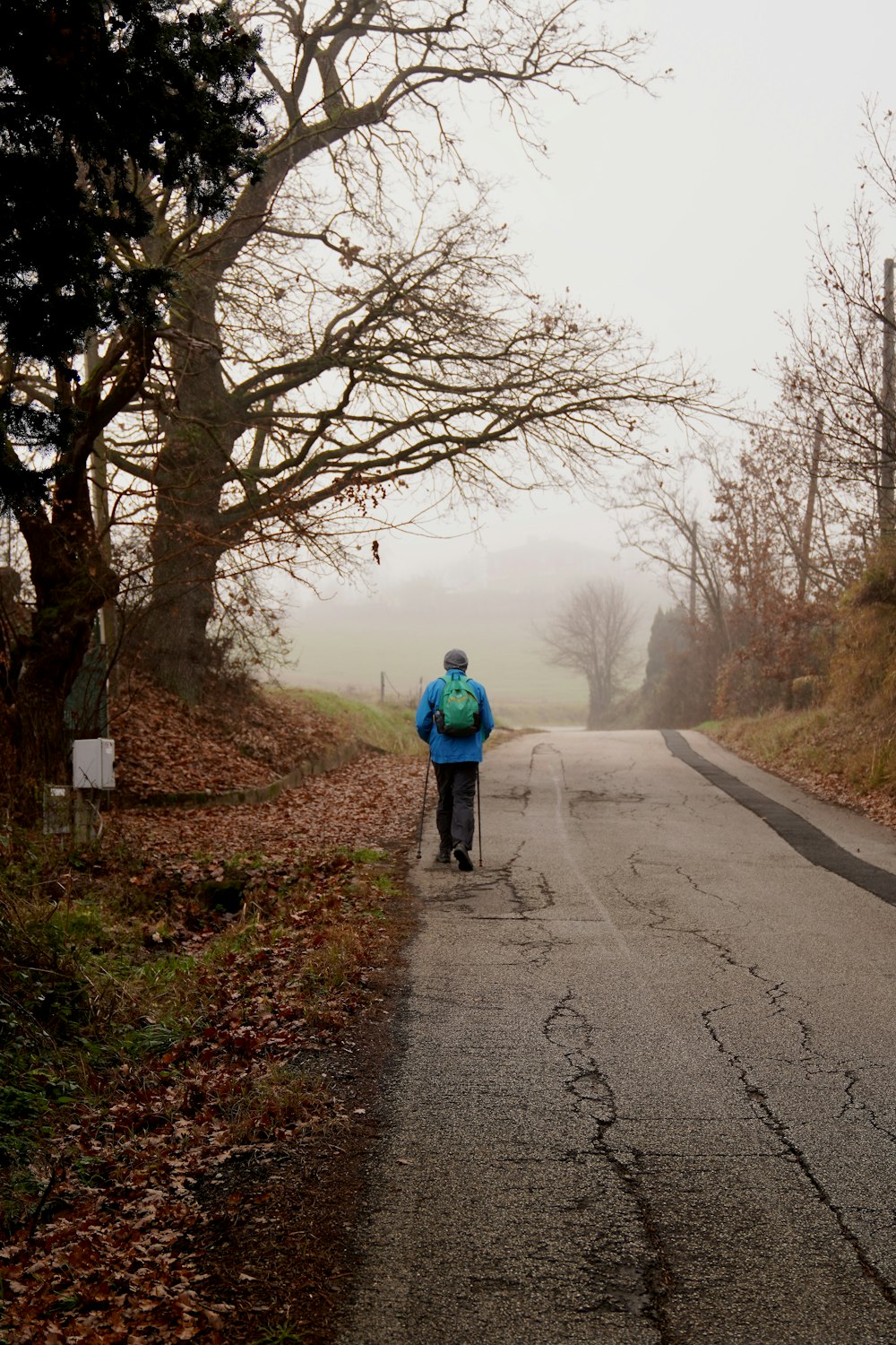 a person riding a bike down a road