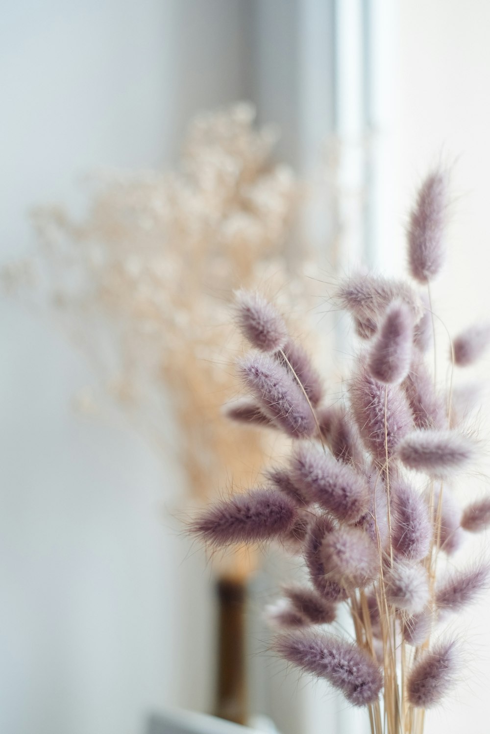 a vase filled with purple flowers next to a window