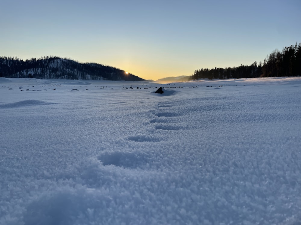 a snow covered field with trees in the background