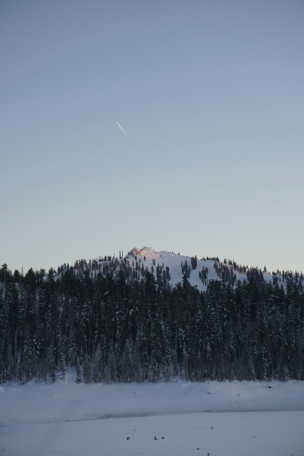 a snowy landscape with trees and a mountain in the background