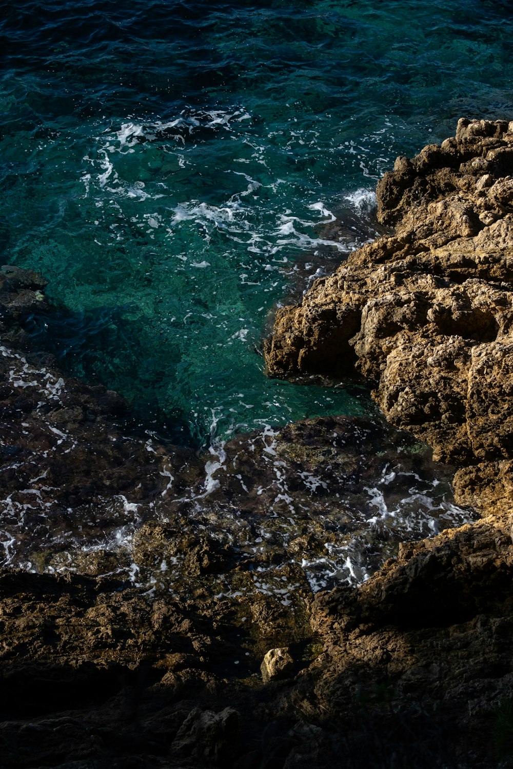 a bird sitting on a rock near the ocean