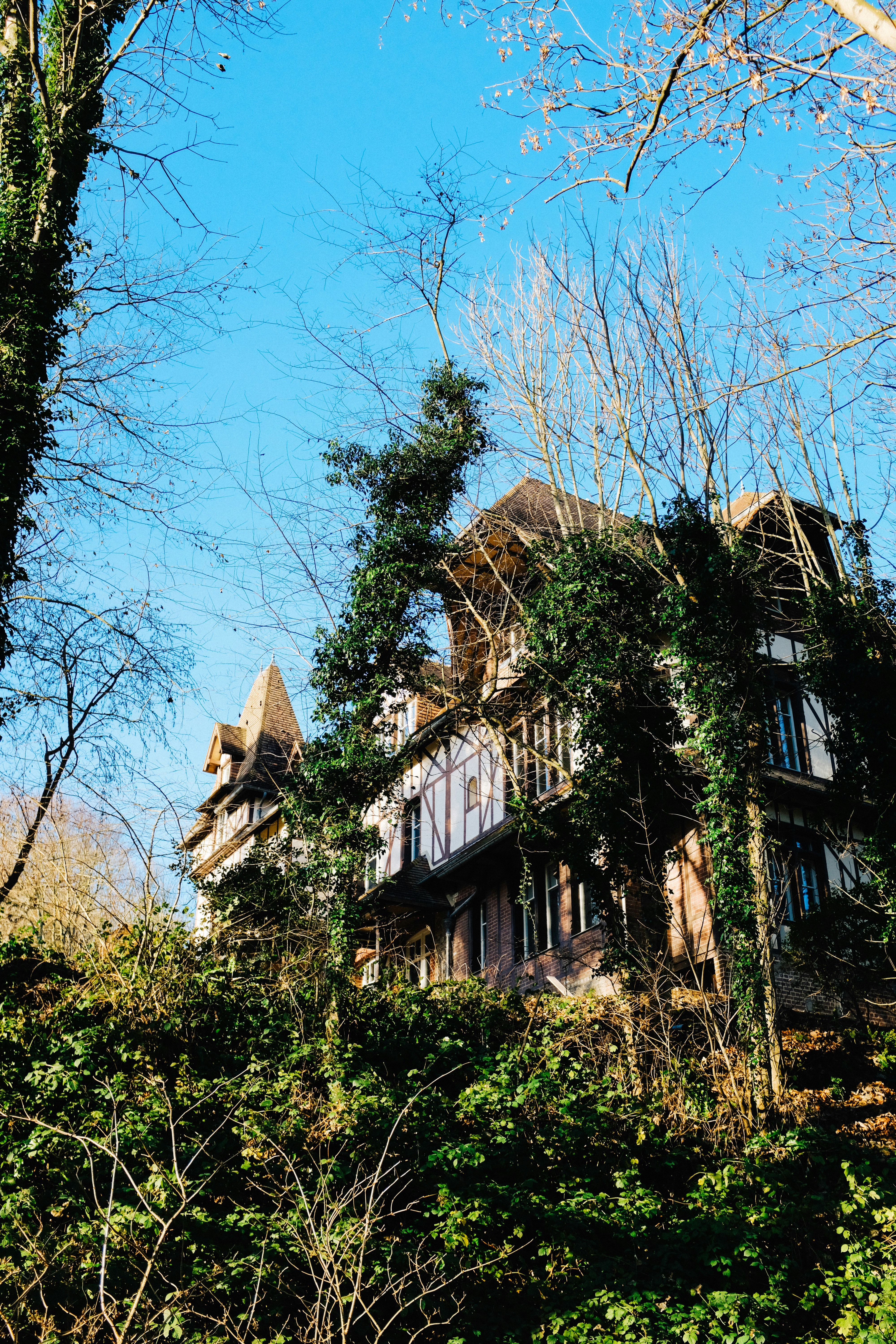 Photo by adrienolichon