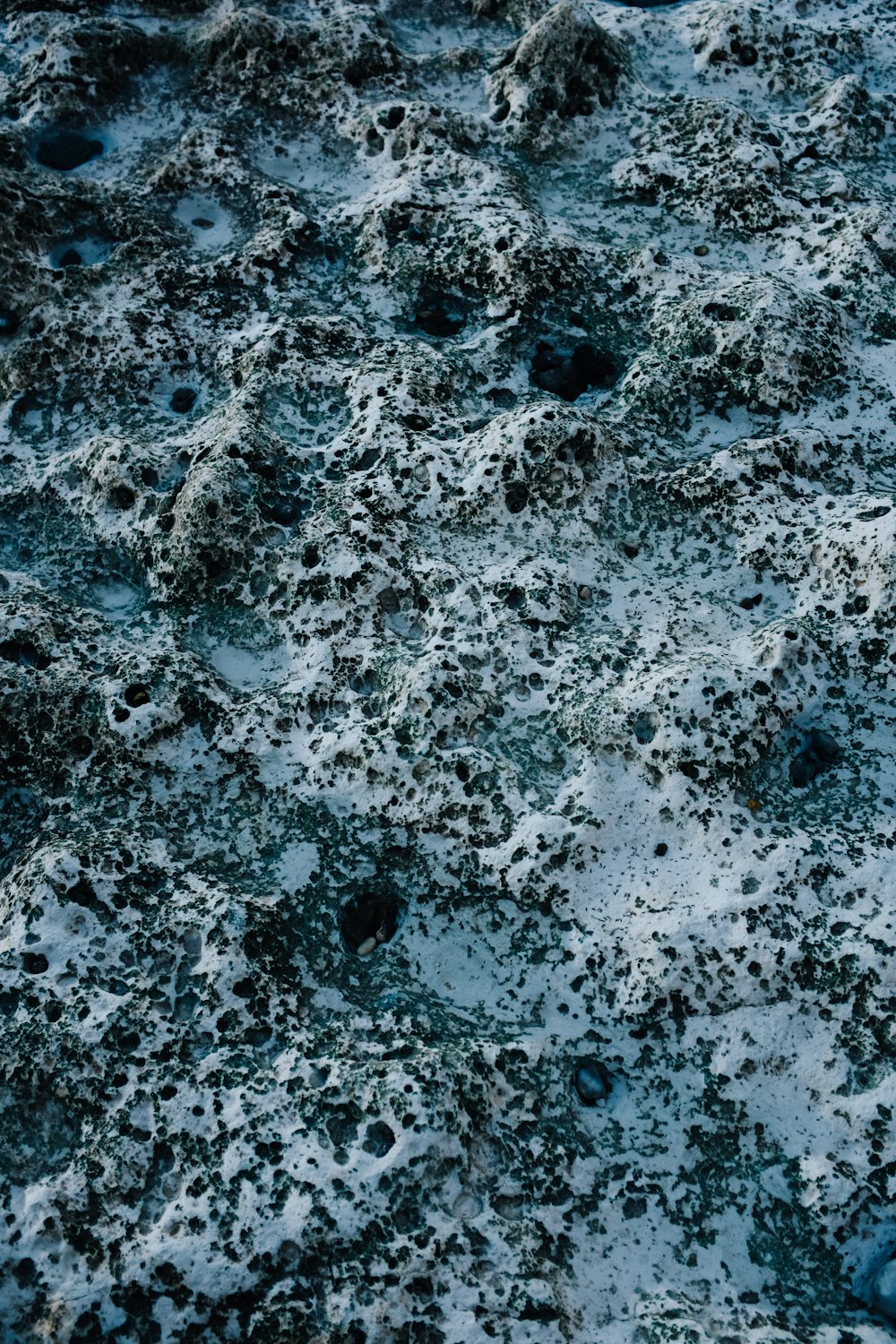 a close up of a snow covered ground