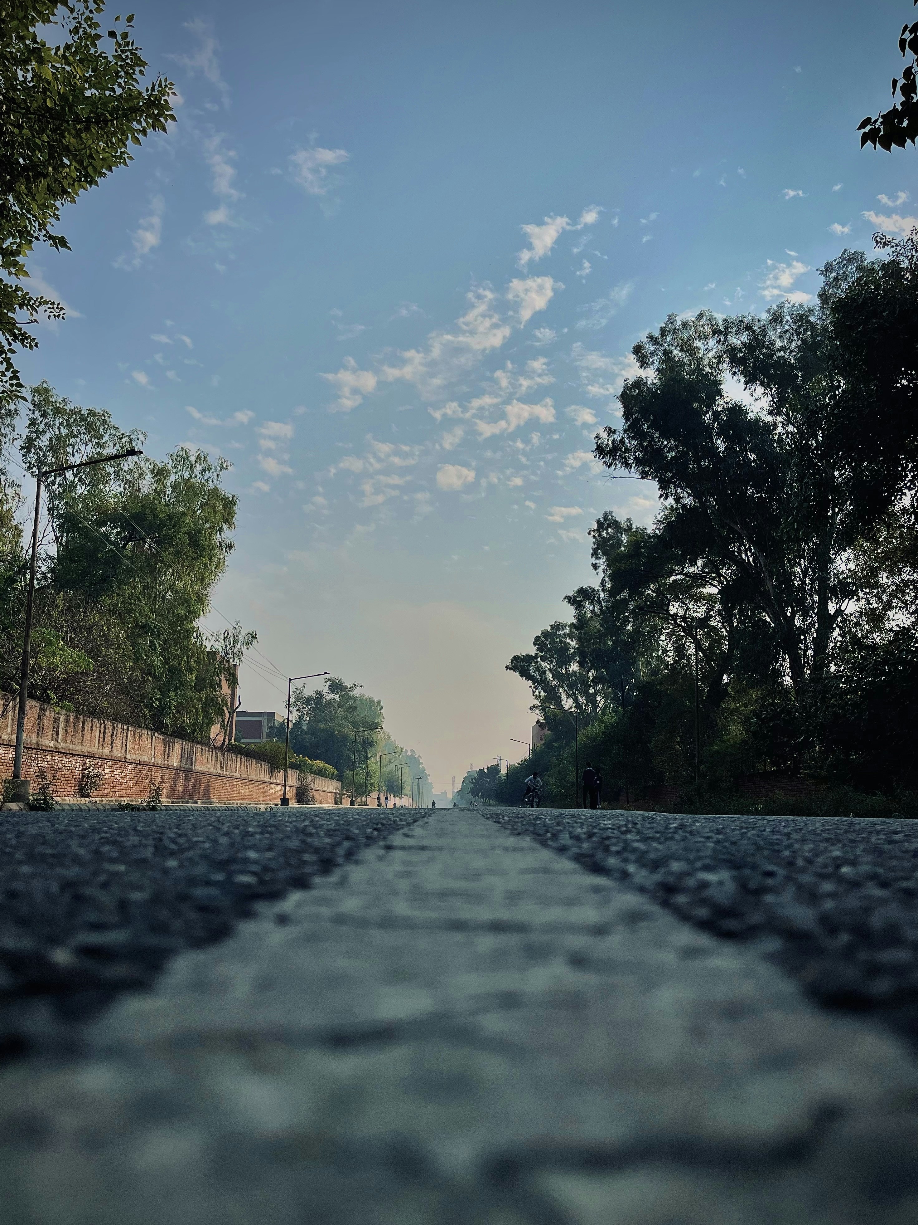 an empty road with trees and a blue sky