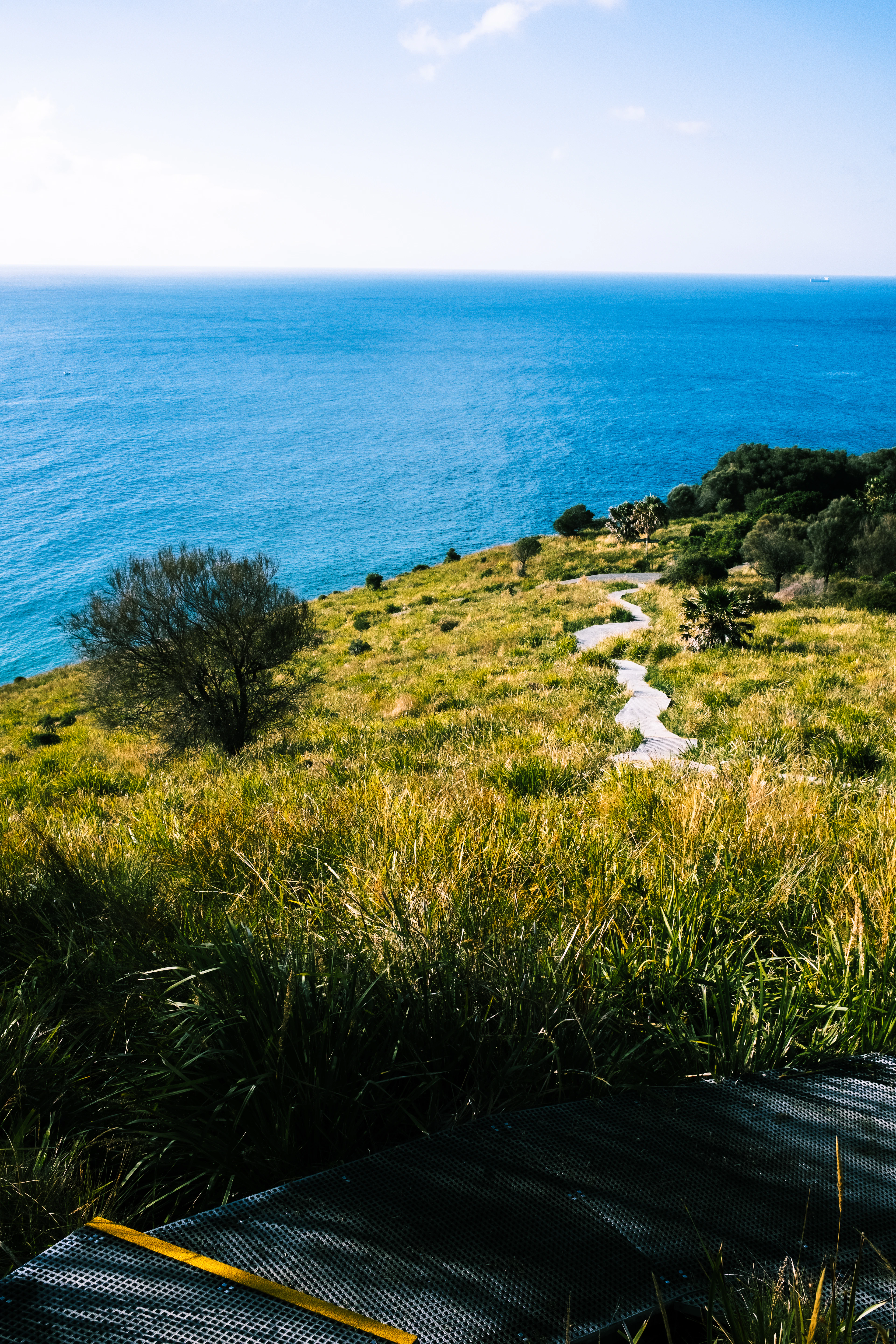 Winding path through coastal grassland above the blue ocean