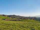 A serene landscape showcasing lush green fields and clear skies.