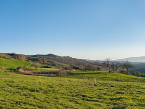 A serene landscape featuring rolling hills under a clear blue sky.