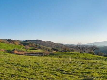 A serene landscape showcasing fields and hills under a clear blue sky.