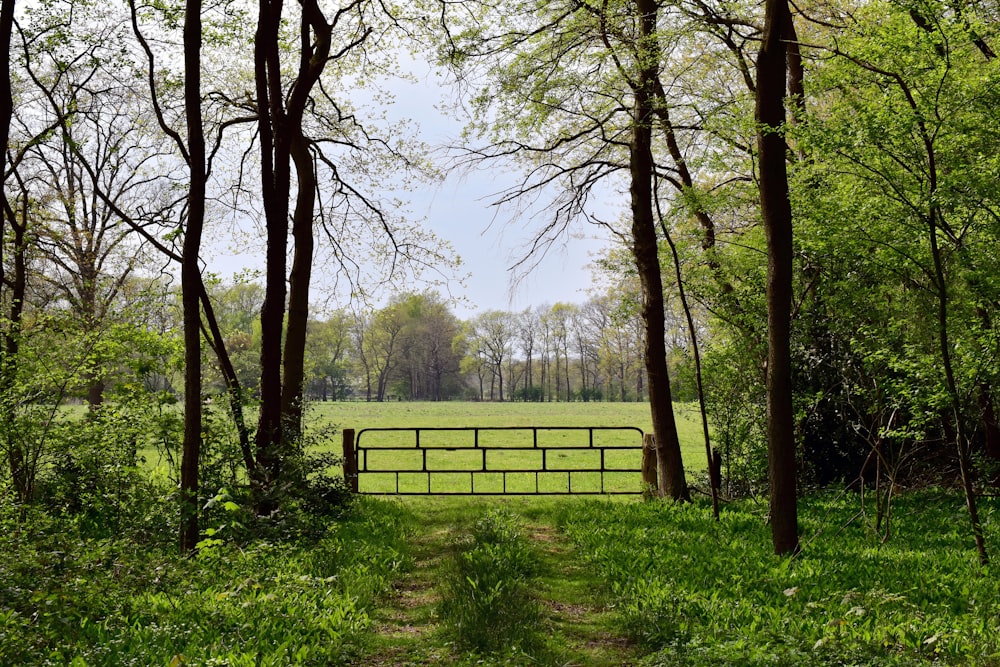 a gate in the middle of a field surrounded by trees