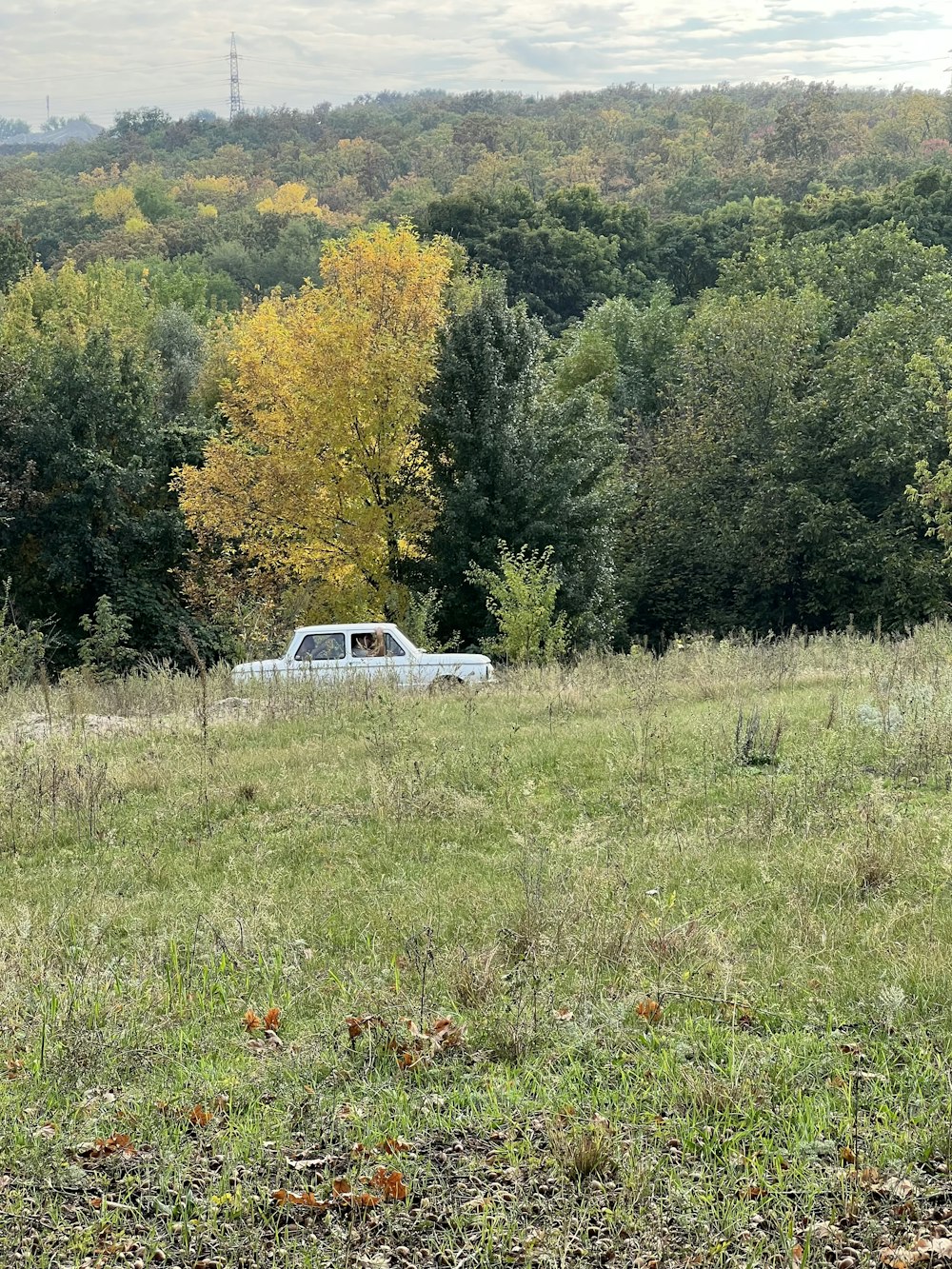 a car is parked in a field with trees in the background