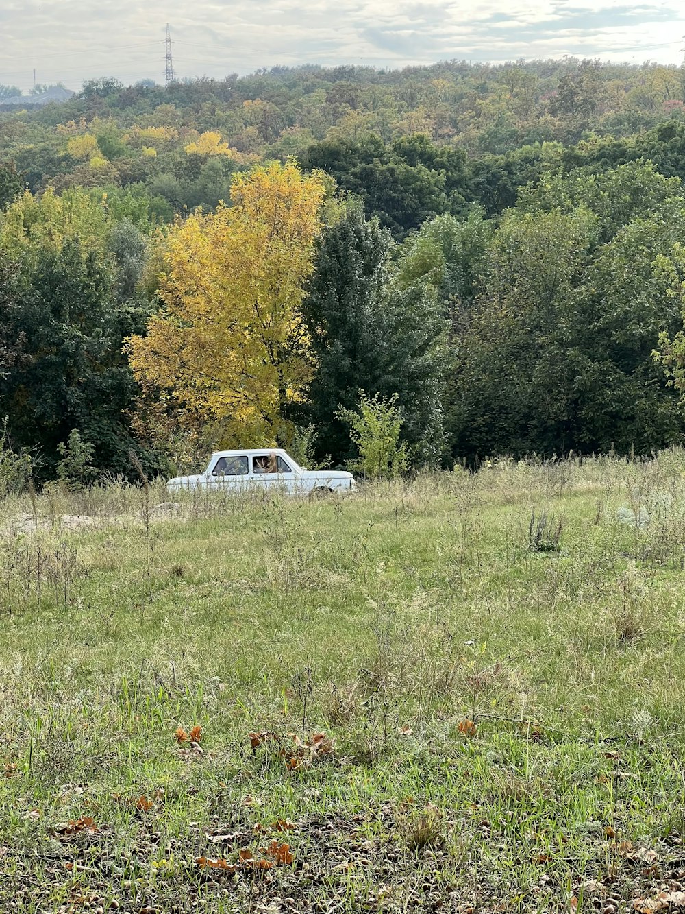 Un coche está aparcado en un campo con árboles al fondo