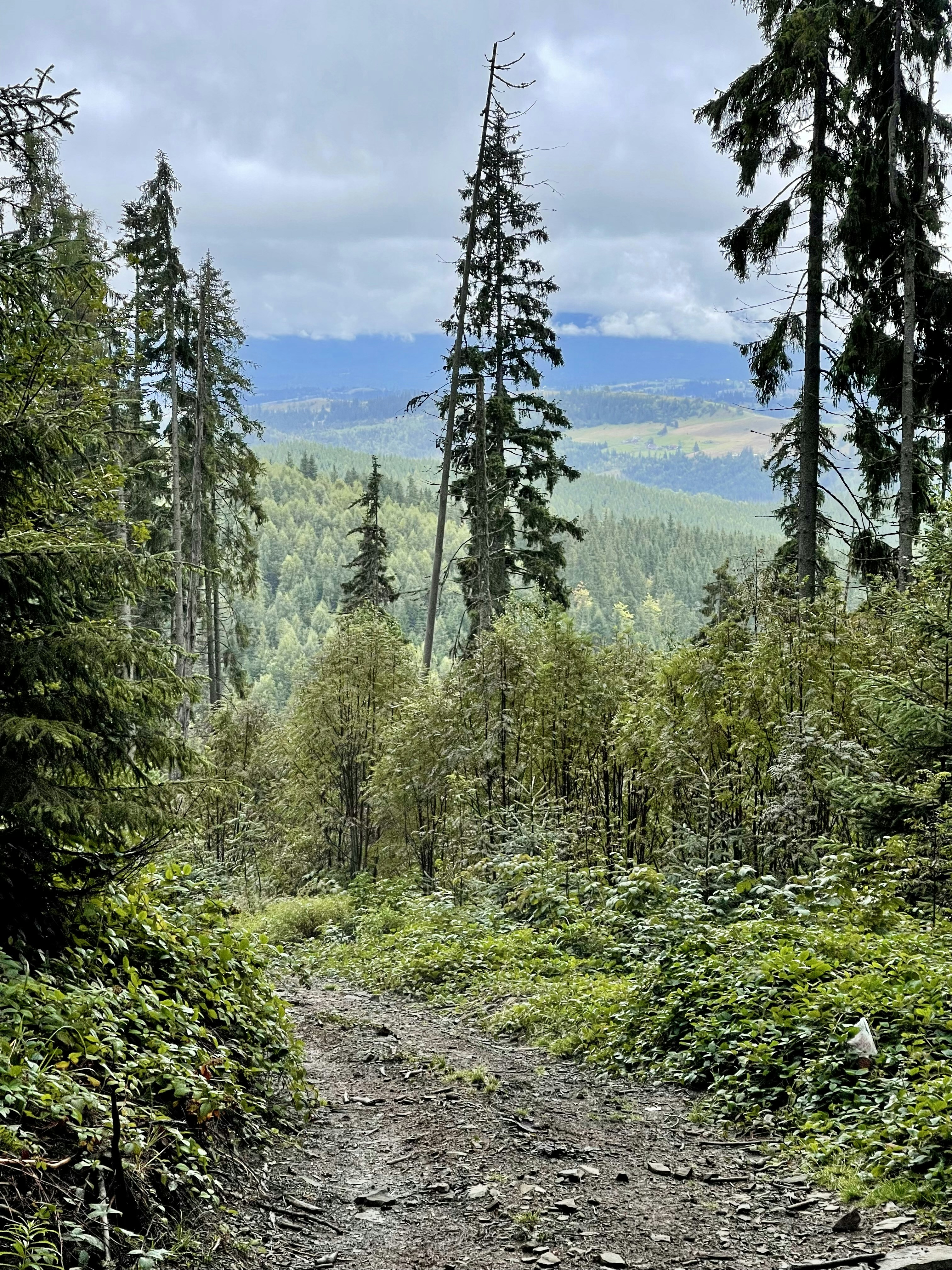 Photo by pictures_of_ukraine