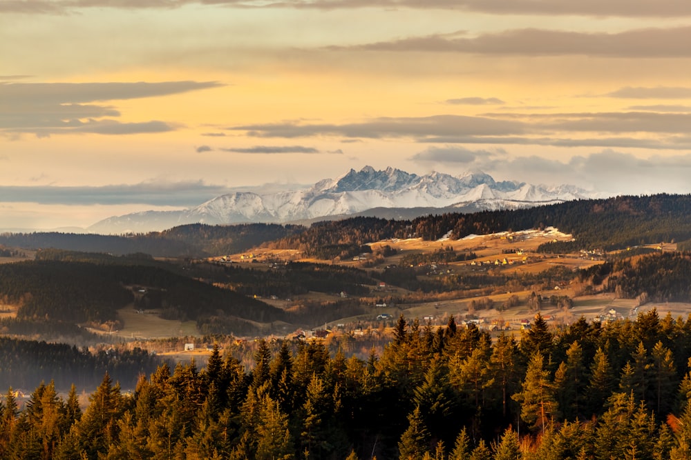 a scenic view of a mountain range with trees in the foreground